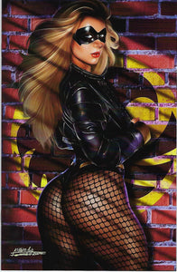 Cool Comics Gallery Black Canary Fernando Rocha Virgin Cover Limited to ONLY 100 NM